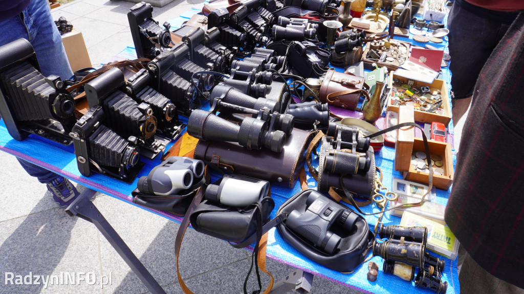 Targowisko Różności w Radzyniu