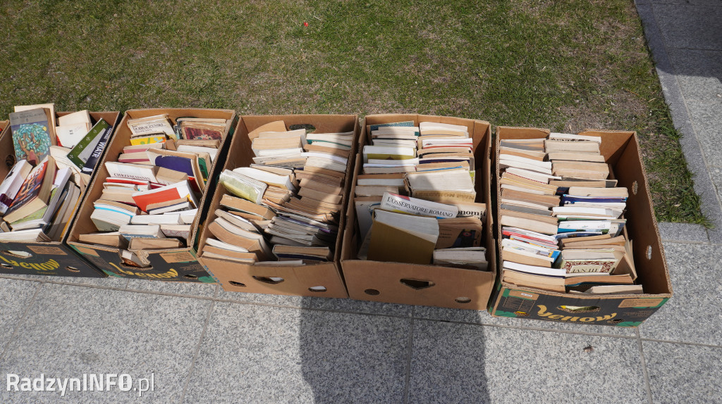 Targowisko Różności w Radzyniu