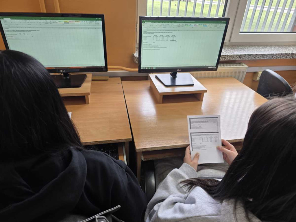 Specjalne zajęcia ekonomiczne w ZSP