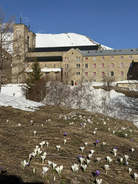 Licealiści na pielgrzymce do Francji i Hiszpanii