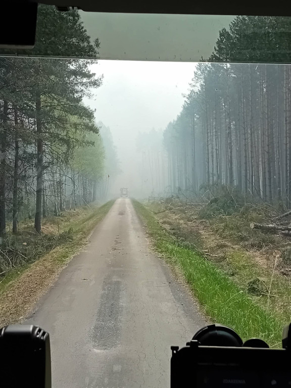 Strażacy z Radzynia w Puszczy Solskiej