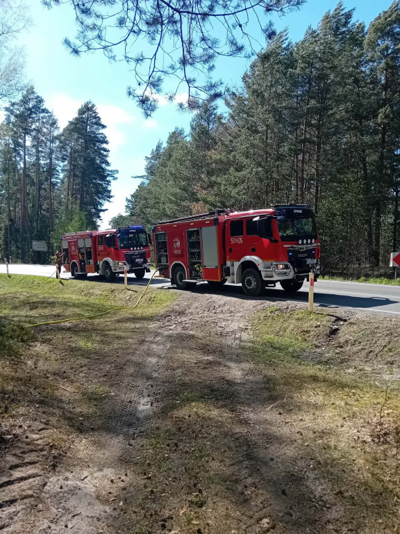 Strażacy z Radzynia w Puszczy Solskiej