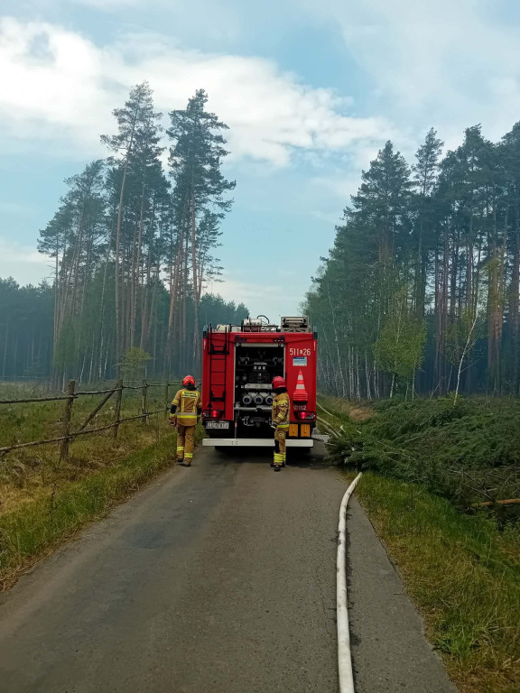 Strażacy z Radzynia w Puszczy Solskiej