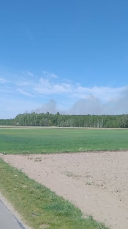 Pożar lasu w Grabowcu
