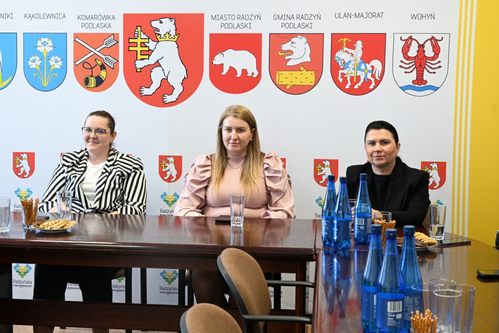 Projekt poprawy ergonomii w Starostwie