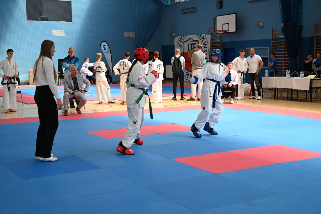 Turniej taekwon-do w Radzyniu