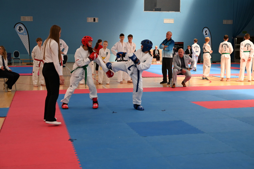 Turniej taekwon-do w Radzyniu