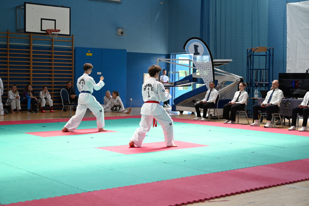 Turniej taekwon-do w Radzyniu