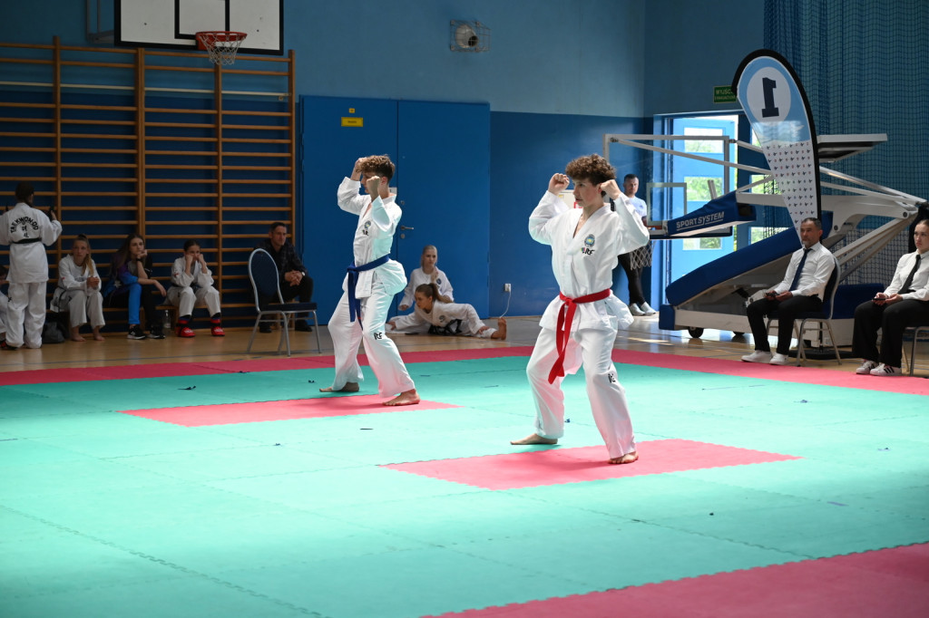 Turniej taekwon-do w Radzyniu