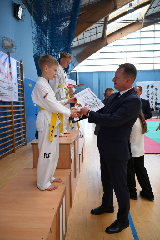 Turniej taekwon-do w Radzyniu