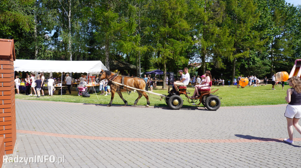 Festyn Rodzinny w parafii św. Anny