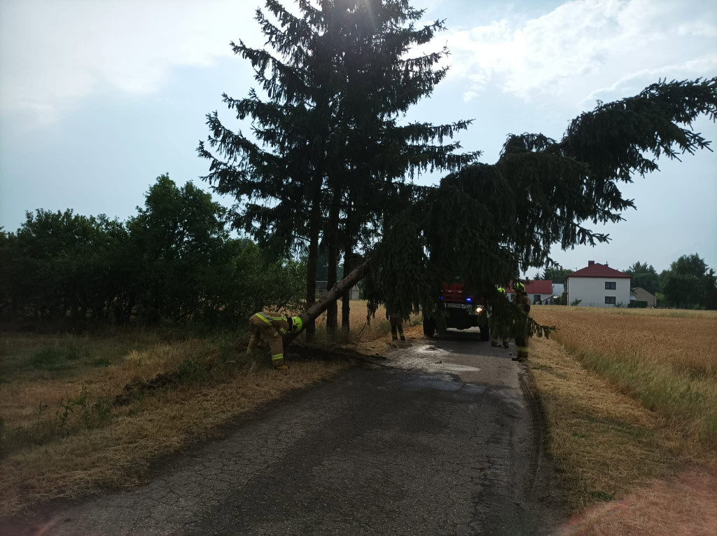 Burze i wichury w powiecie radzyńskim