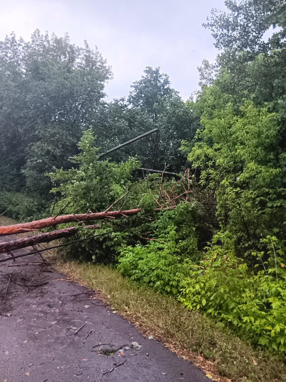 Burze i wichury w powiecie radzyńskim