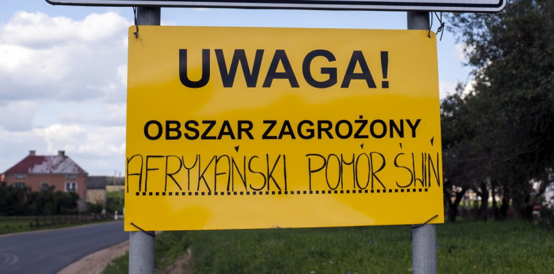 ASF w regionie