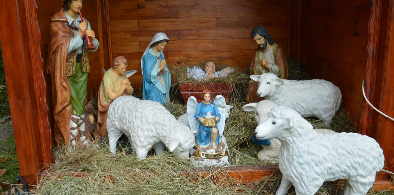 Ostrówki nie gęsi, swoją szopkę mają