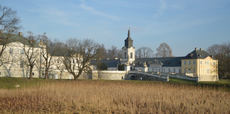 Wiosenny grudzień w obiektywie