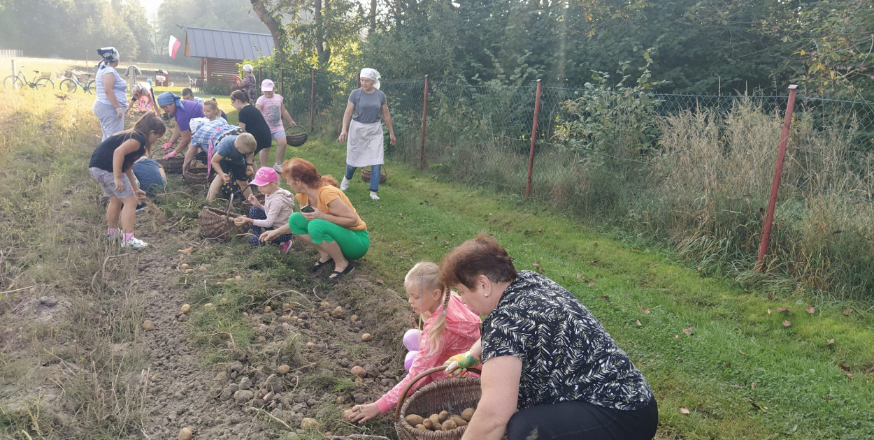 "Ziemniaczany" projekt  w Komarówce Podlaskiej