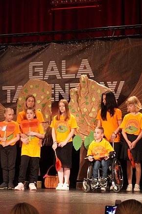 Gala Talentów w Radzyniu-12384