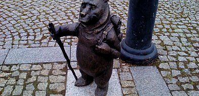 Figura "Niedźwiadek Podróżnik" na Placu Wolności-238229
