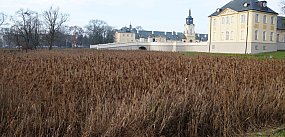 Czy w Radzyniu są jeszcze stawy?