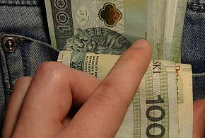 Nowe zasady 800 plus. ZUS sprawdzi zatrudnienie-245589