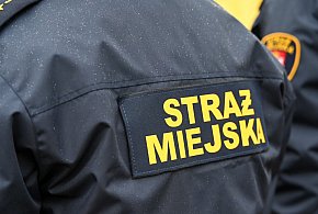 Zapuka strażnik, zapłacisz karę. Ruszyły kontrole w całej Polsce-246156