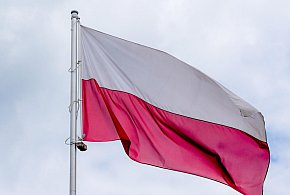 Godło i flaga mogą wyglądać inaczej. Ruszyły prace nad symbolami państwowymi-247490