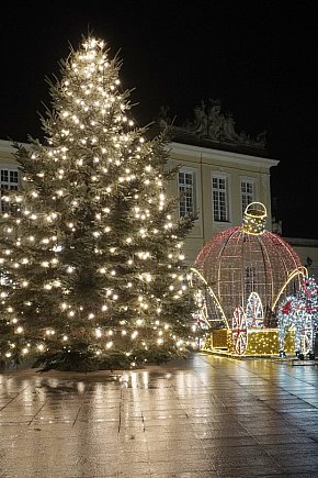 Świąteczne dekoracje w Radzyniu-13048