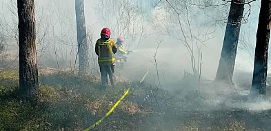 Strażacy z Radzynia pomagają gasić pożar Puszczy Solskiej