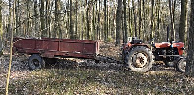 Śmiertelny wypadek przy wycince drzew w Sobolach