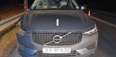 Potrącenie pieszego na drodze krajowej nr 19