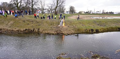 Akcja "Dzień dobry wiosno"