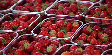 Pierwsze polskie truskawki już są. Ceny wyraźnie wyższe niż rok temu