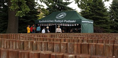 Dzień otwarty w Nadleśnictwie Radzyń Podlaski-245707