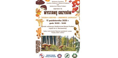 Wystawa o grzybach w Nadleśnictwie - zapowiedź-246129
