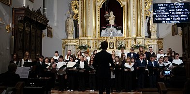 Koncert muzyki sakralnej w wykonaniu uczniów PSM-246366