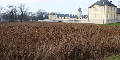 Czy w Radzyniu są jeszcze stawy?-247251