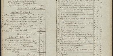 Grupa akt z radzyńskiego archiwum dostępna w internecie-247296