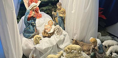 Pasterka w parafii Trójcy Św.-247516