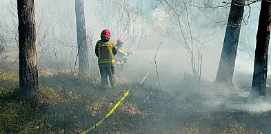 Strażacy z Radzynia pomagają gasić pożar Puszczy Solskiej