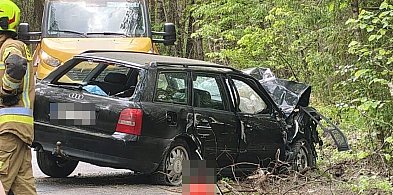 Pijany bez prawa jazdy uderzył w drzewo, uciekł i zostawił rannego