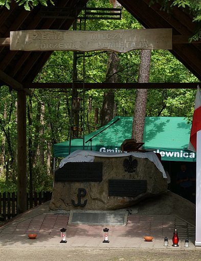 RaSIL cyklicznym organizatorem uroczystości w lesie Baran-246689