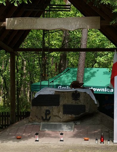 Odpowiedź na artykuł ze "Wspólnoty"