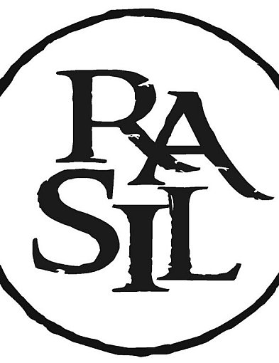 Sprawozdanie z działalności RaSIL w roku 2025