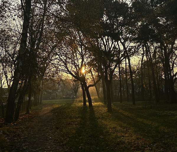 Nadchodzi najkrótszy dzień w 2025 roku. Sprawdź, kiedy przypadnie-247415