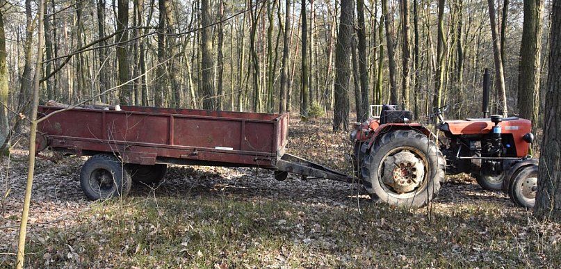 Śmiertelny wypadek przy wycince drzew w Sobolach