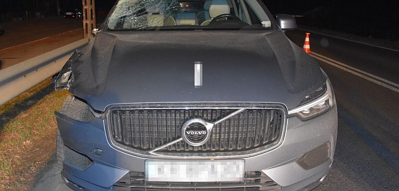 Potrącenie pieszego na drodze krajowej nr 19