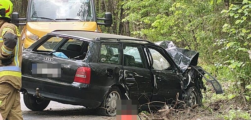Pijany bez prawa jazdy uderzył w drzewo, uciekł i zostawił rannego