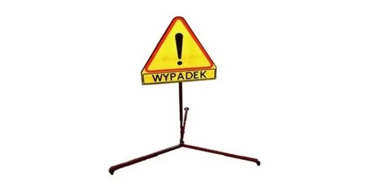 Zderzenie z łosiem między Wolą Osowińską a Osownem