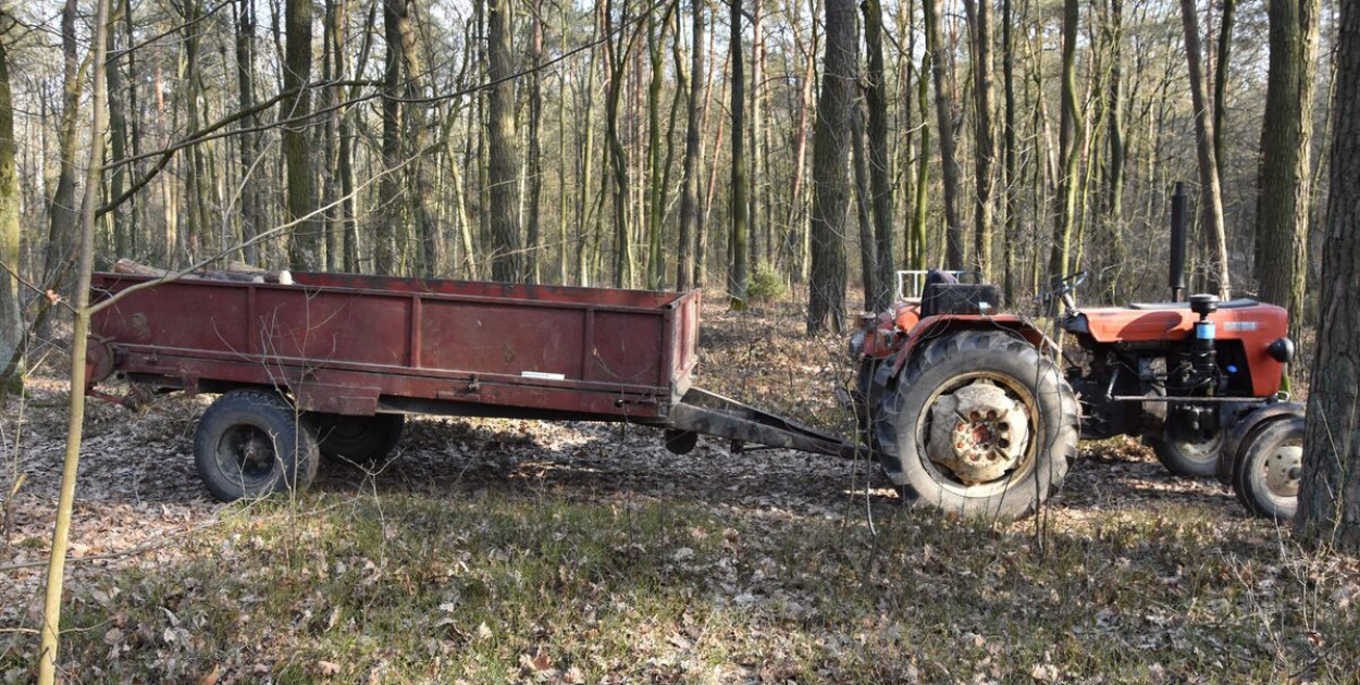 Śmiertelny wypadek przy wycince drzew w Sobolach